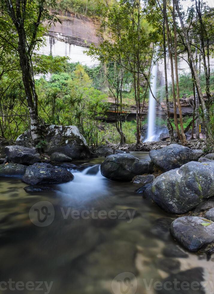 Deep forest waterfall in Ubon Ratchathani, Thailand photo