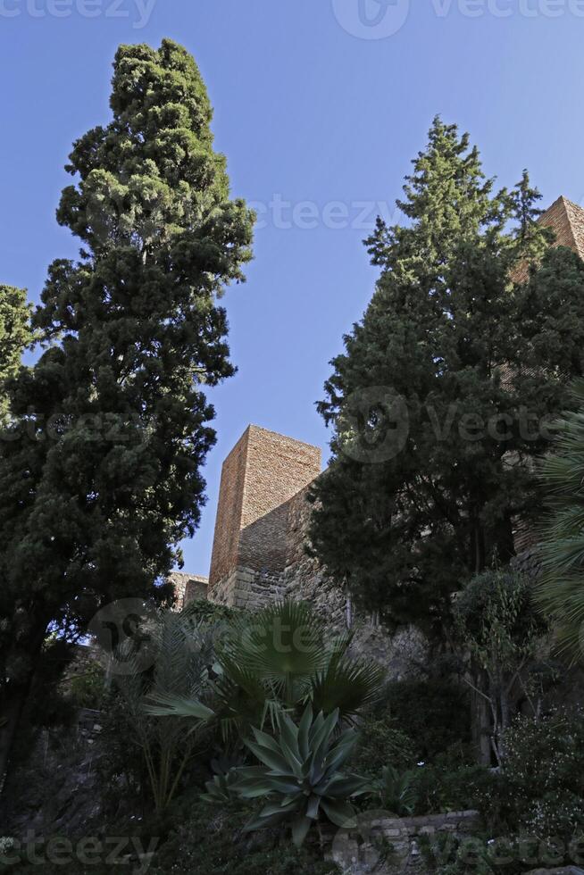 Alcazaba palace in Malaga, Spain photo