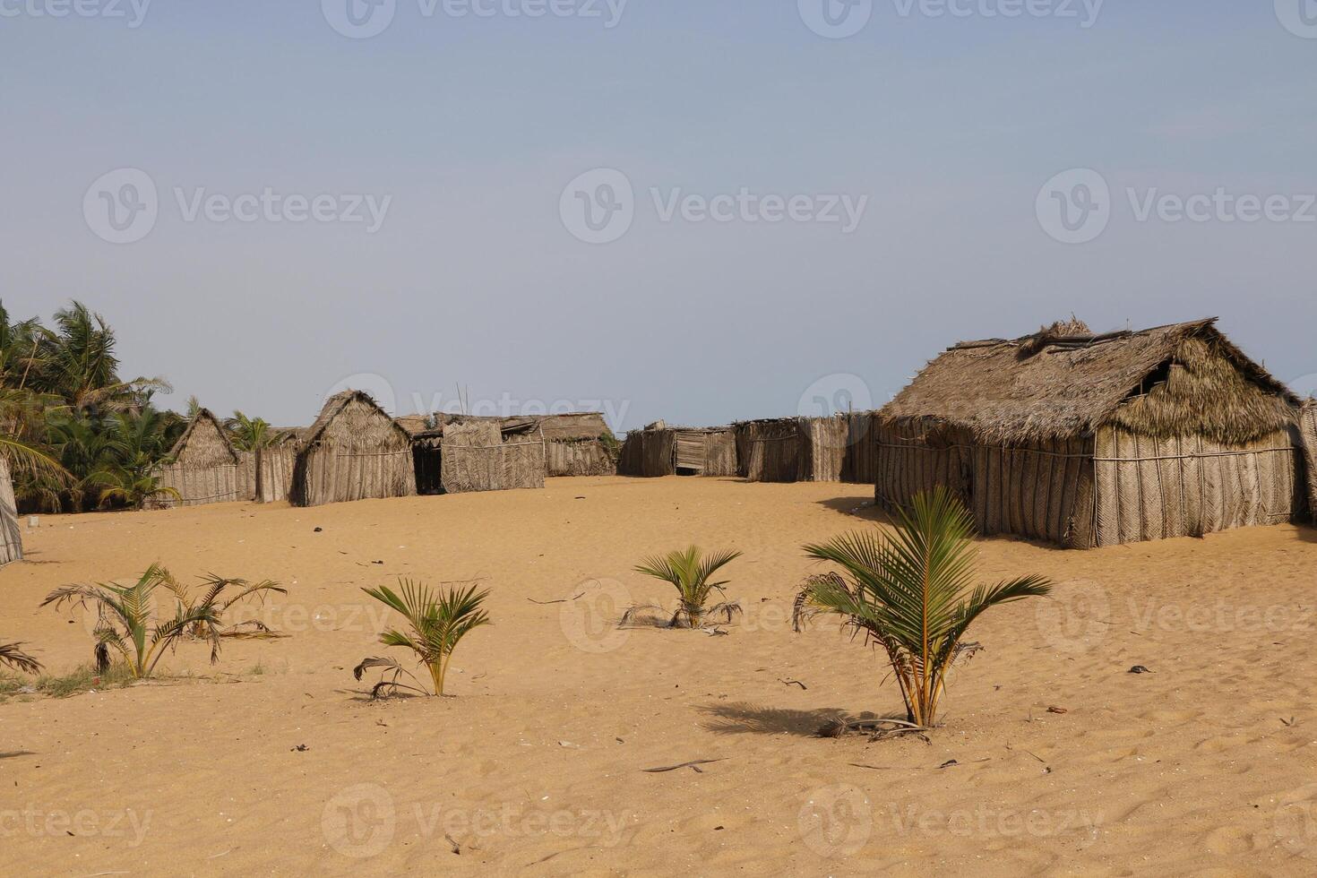 fishermen houses at the beach in benin photo