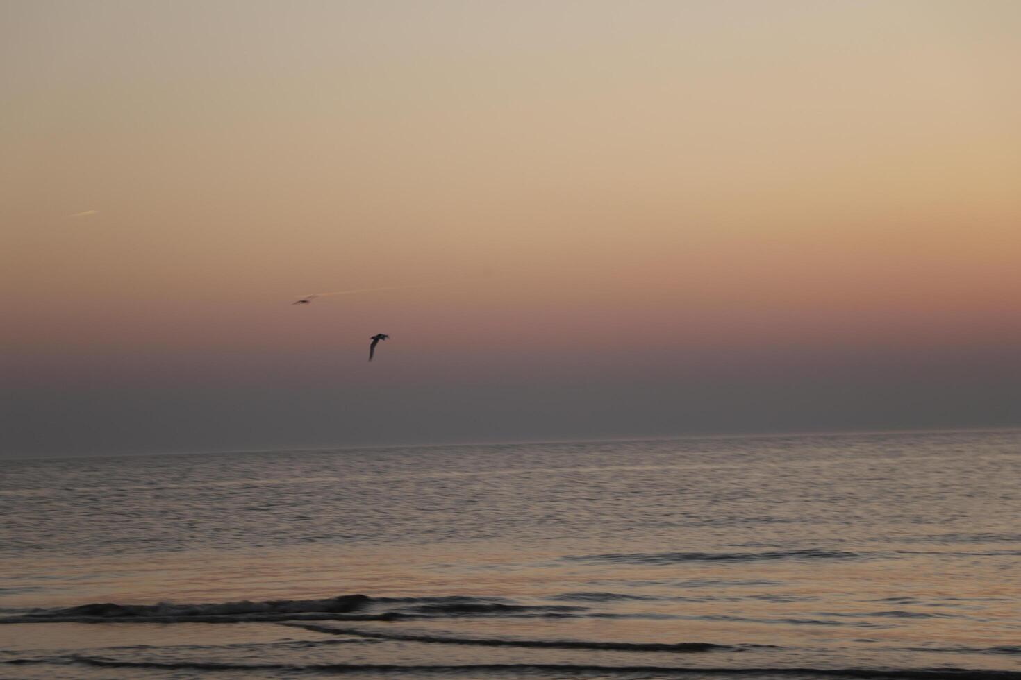 sunset at the beach photo