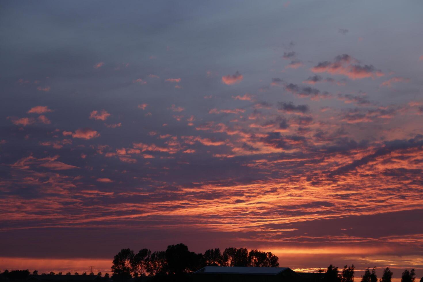 colorful sunset in the netherlands photo