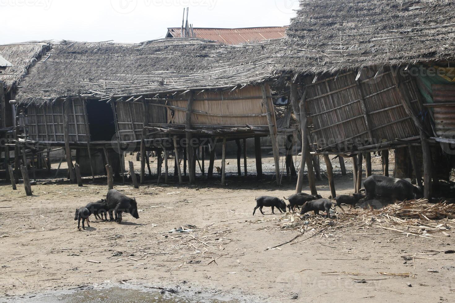 Stiltvillage Aguegues in Benin Africa photo