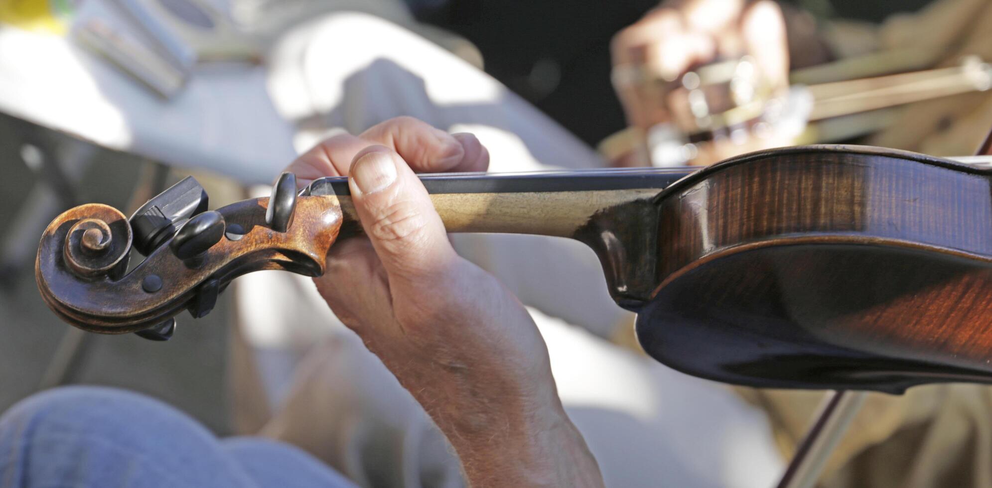 close up of a violin photo