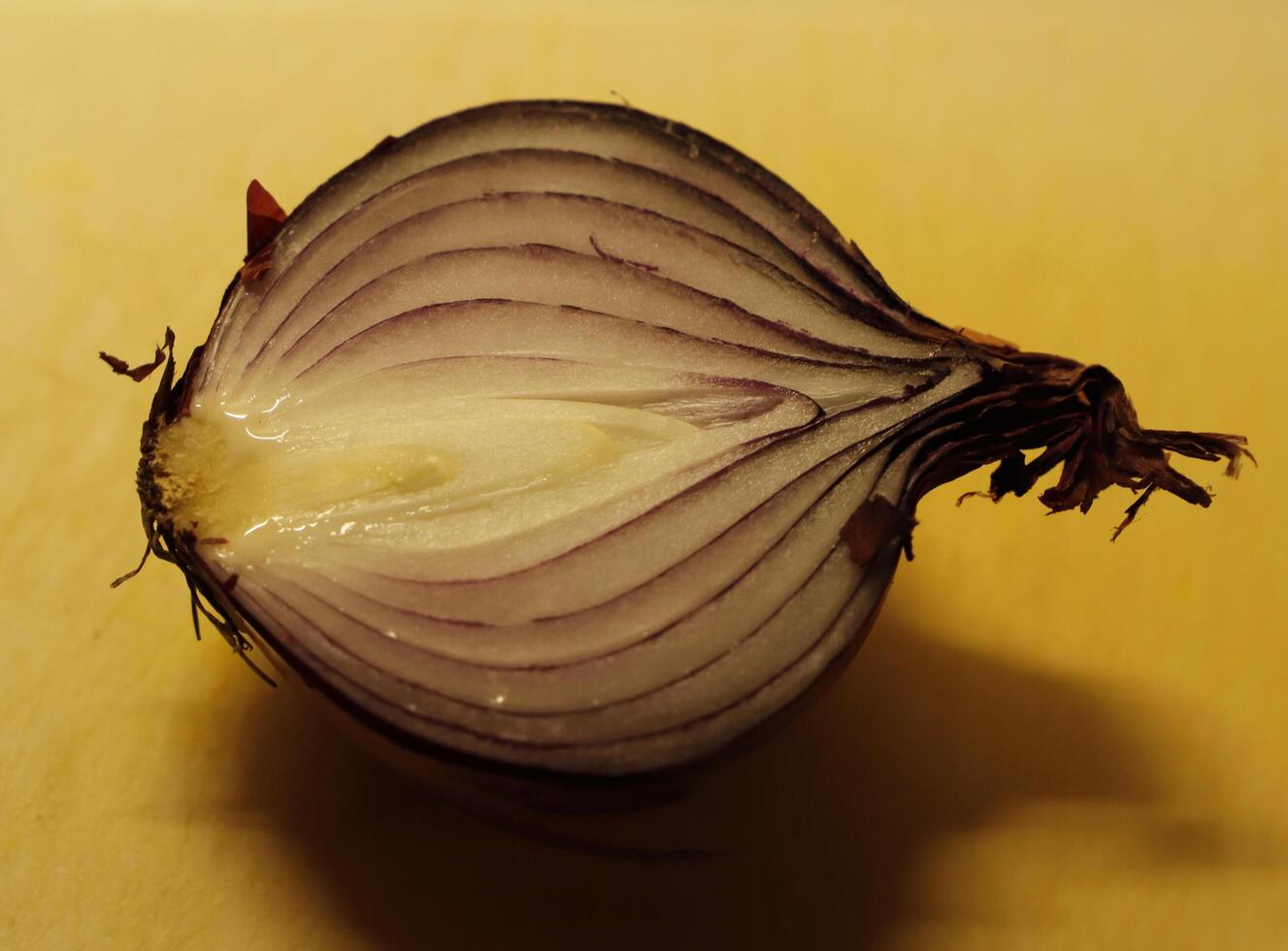 diameter of a red onion photo