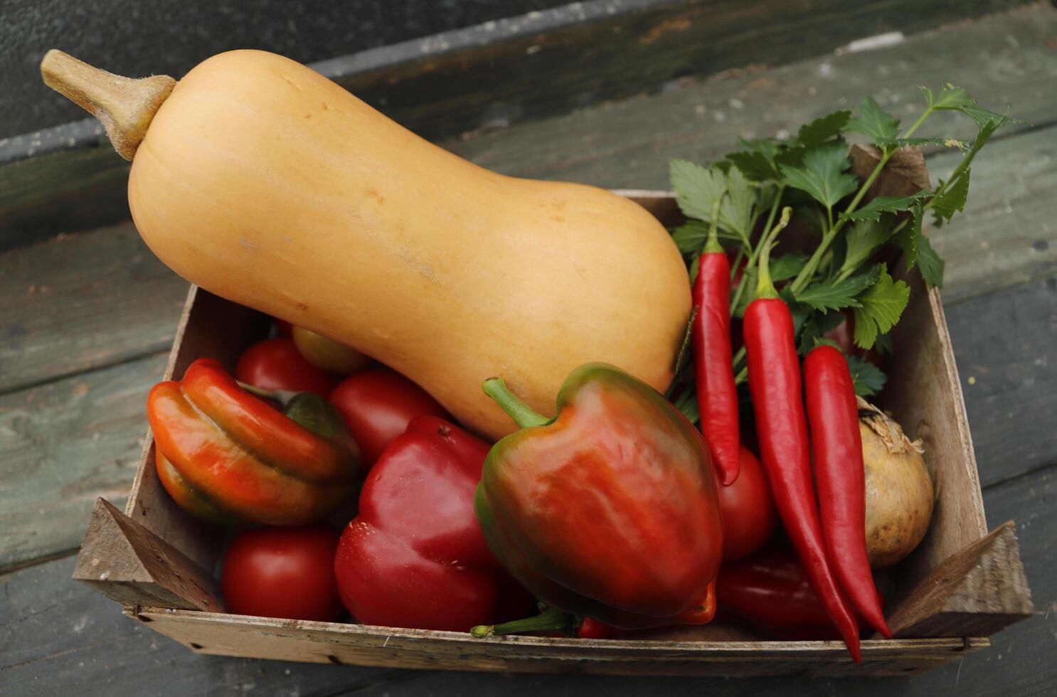 Fresh vegetables picked fresh from the garden. a box of fresh vegetables photo