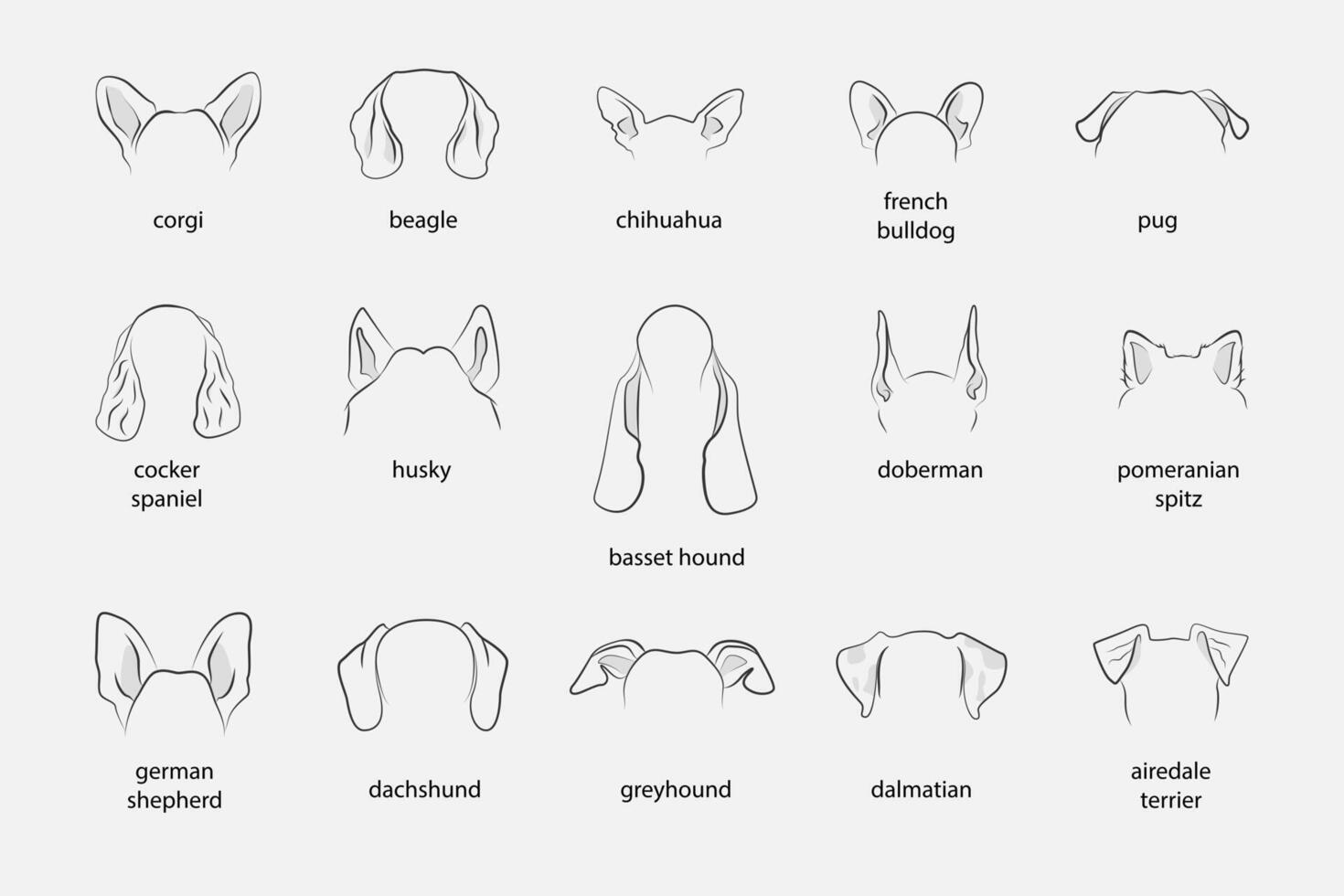 Different Dogs Ears Sign Black Thin Line Icon Set vector