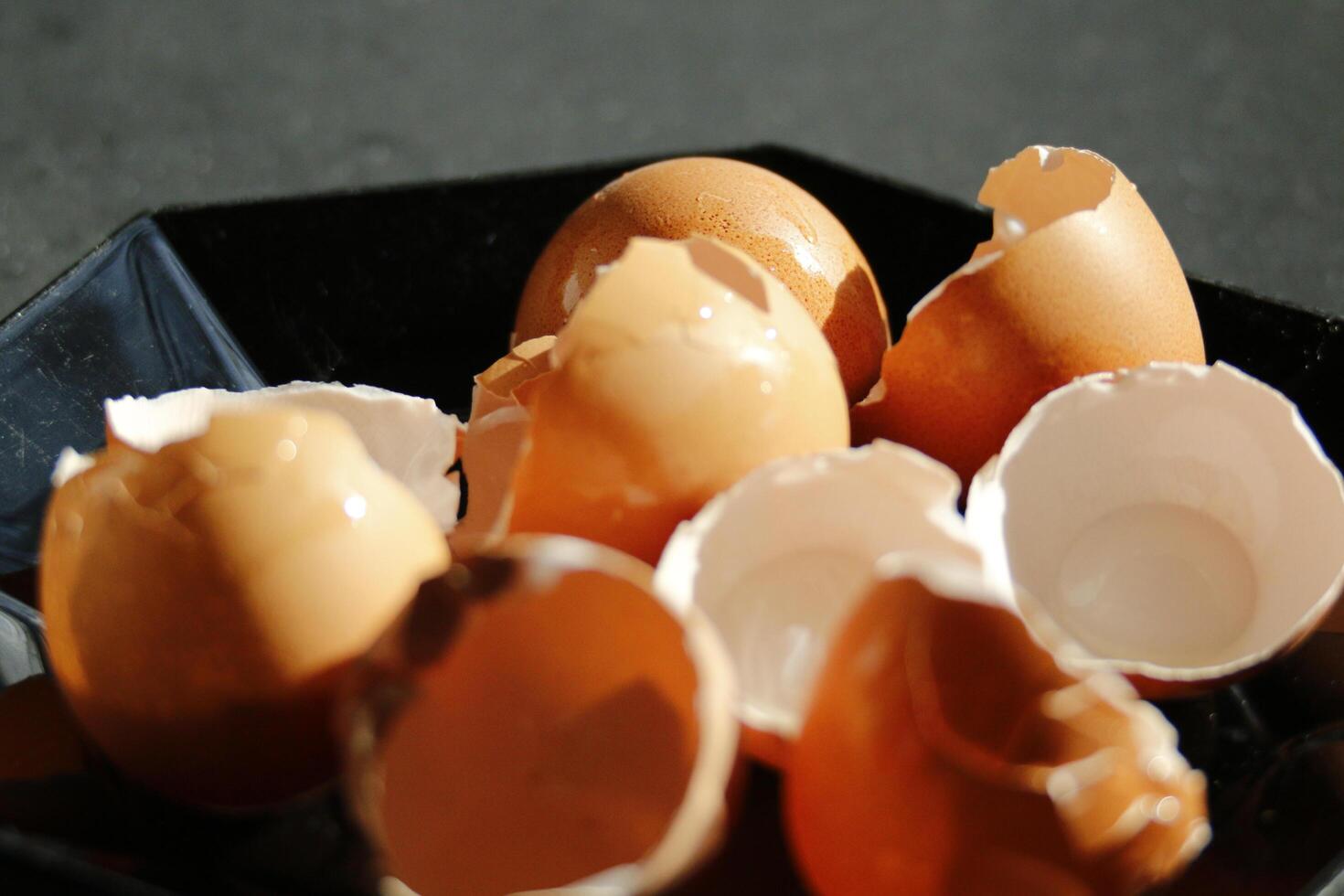 broken egg shells in close up photo