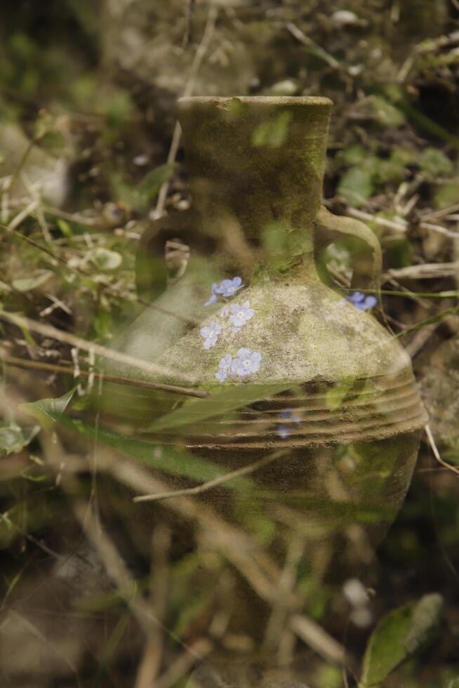 loza de barro jarra y flores, creativo fotografía, doble exposición, foto