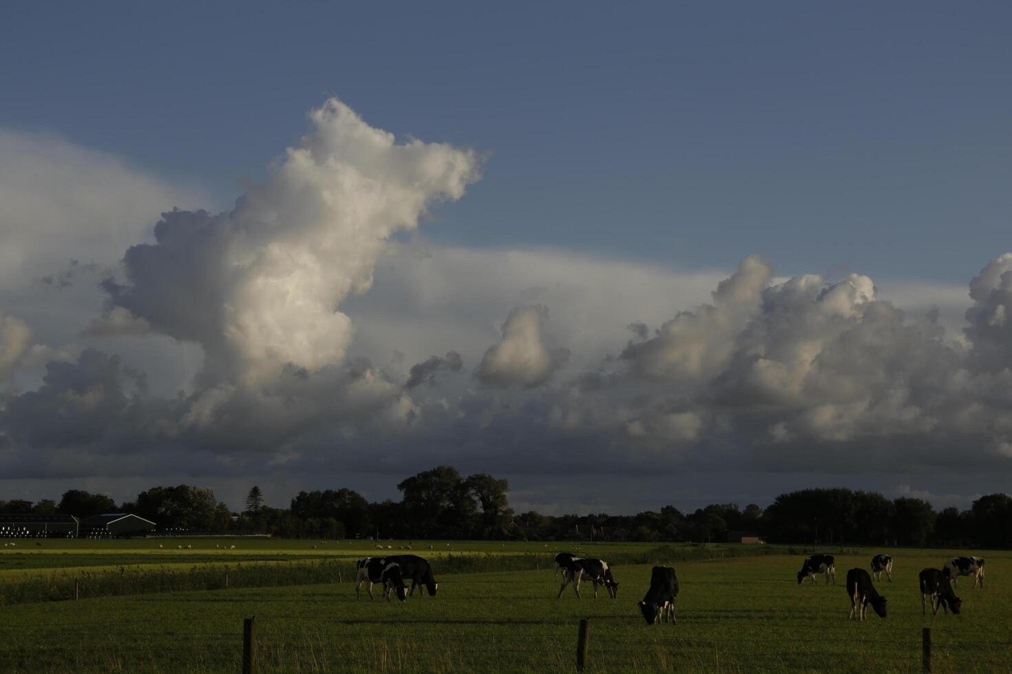 dramatic sky with thunder clouds in a dutch landscape photo