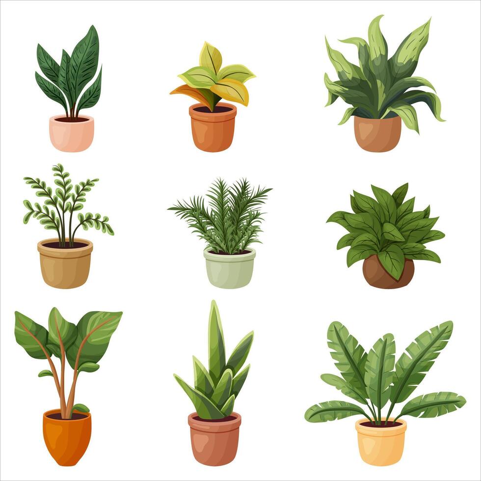 A set of potted indoor plants. illustration on a transparent background vector