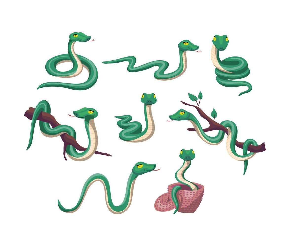 Cartoon Different Green Snake Set vector