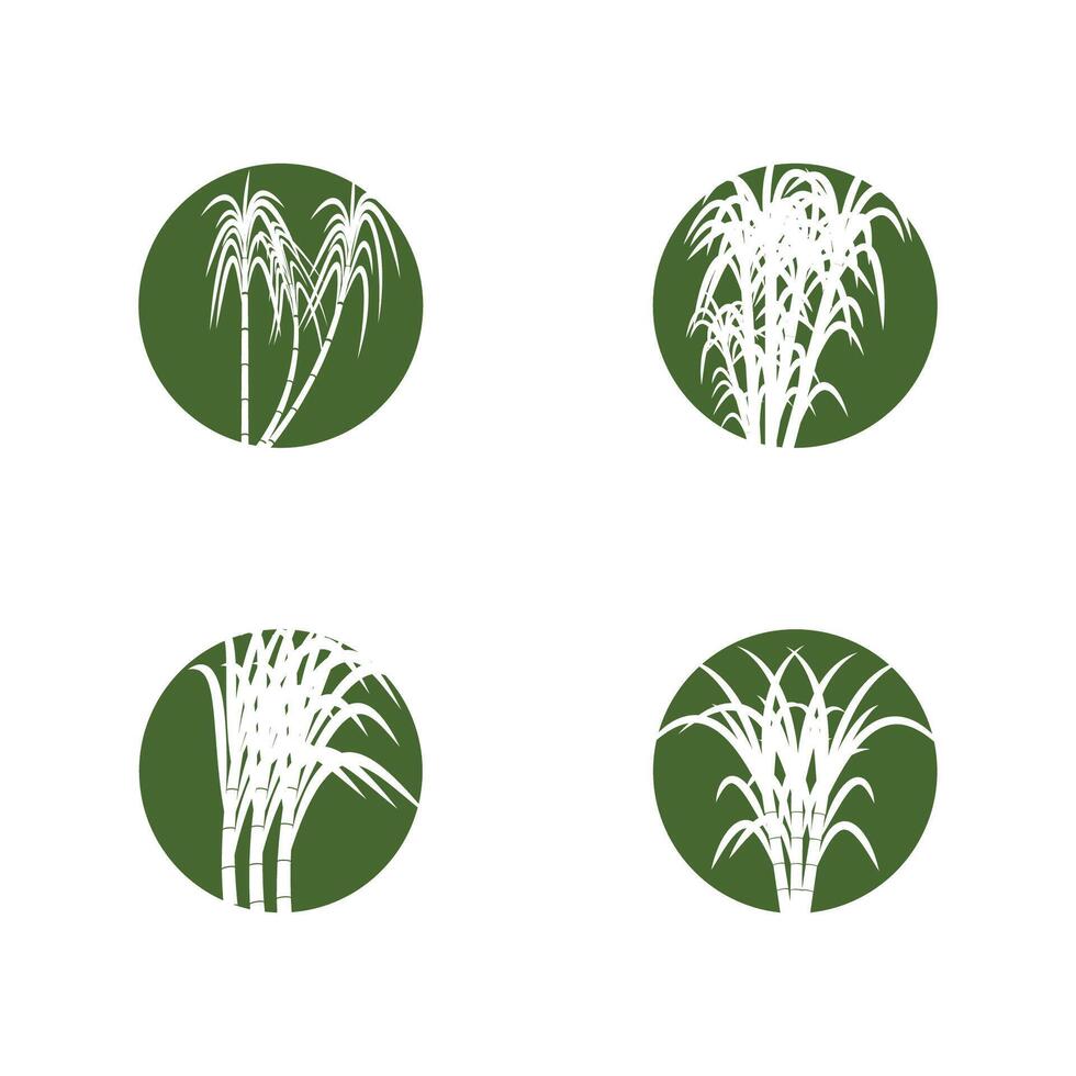 Sugarcane logo template symbol design vector