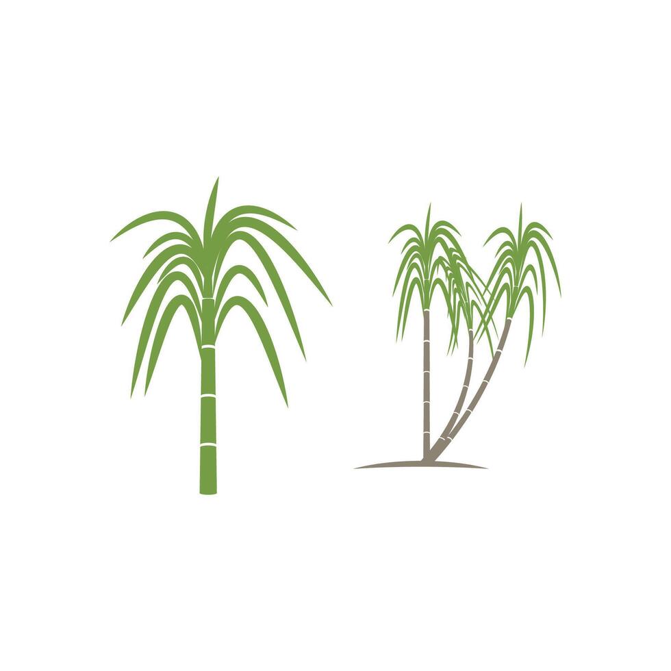 Sugarcane logo template symbol design vector