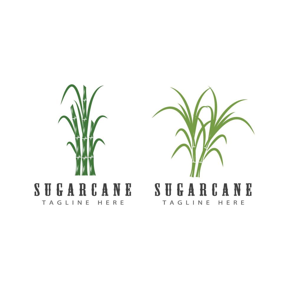 Sugarcane logo template symbol design vector