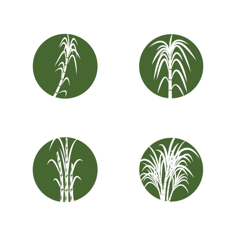 Sugarcane logo template symbol design vector