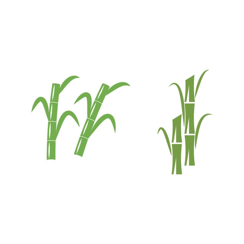 Sugarcane logo template symbol design vector
