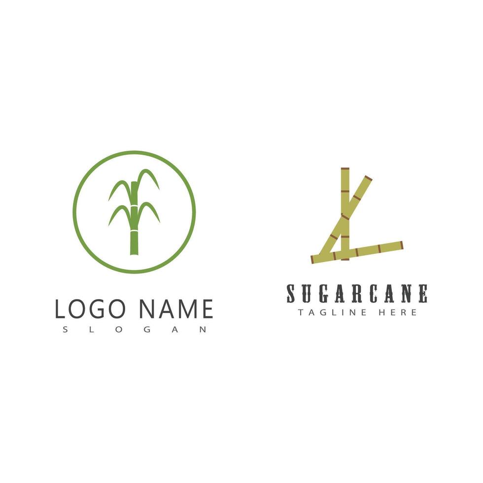 Caña de azúcar logo modelo símbolo diseño vector