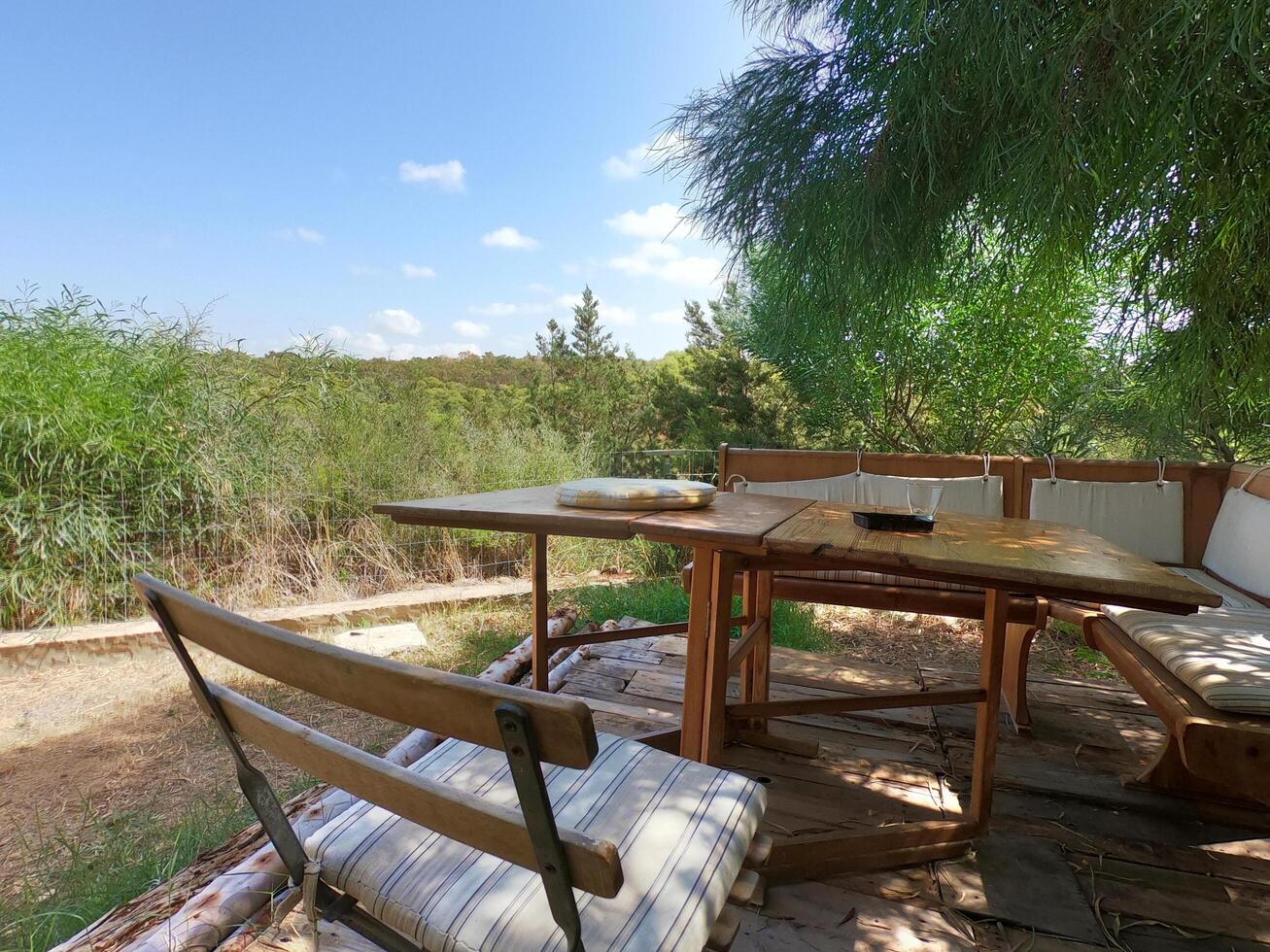 Tranquil Escape Wooden Table Set Under a Shady Tree photo