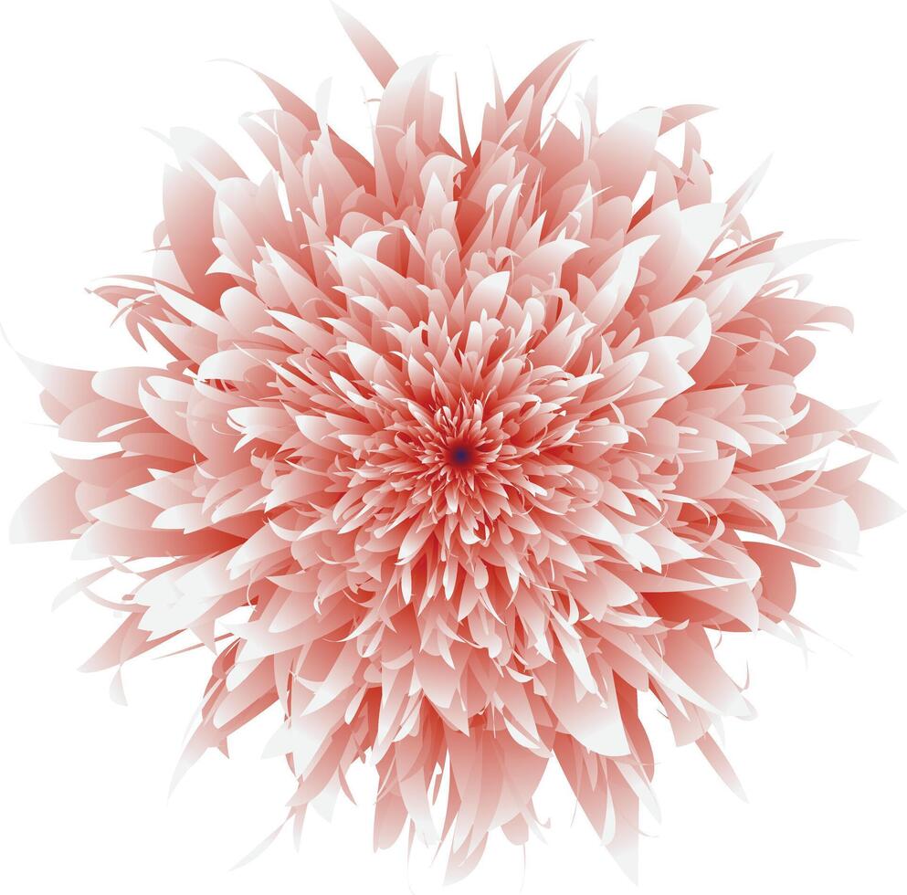 flor rosado Rosa flor ramo de flores aislado realista rosado pétalos, florecer, sucursales, vector