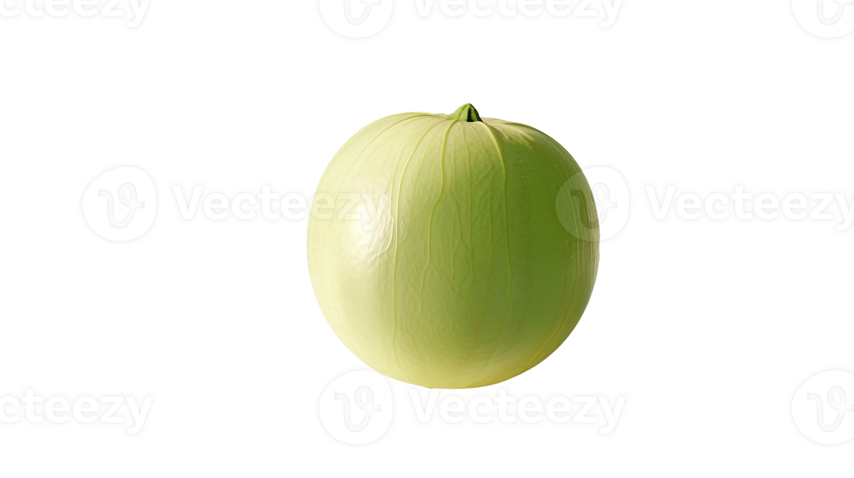 Honeydew Beauty on Transparent Background png