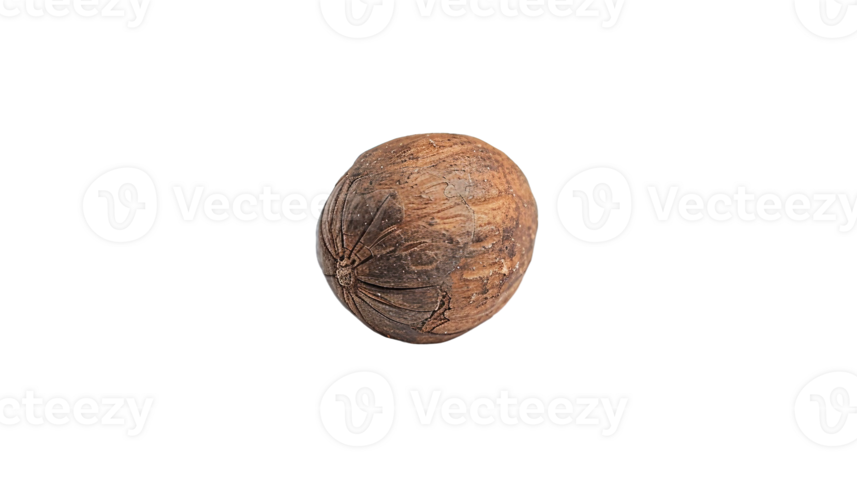 Solo Nutmeg on Transparent Background png