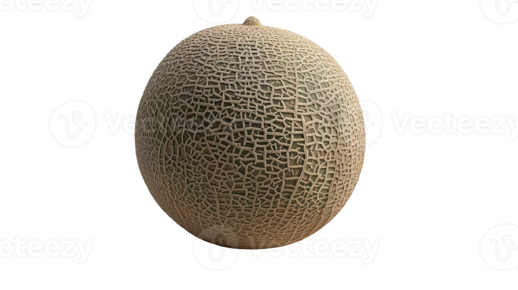 Exploring Cantaloupe on Transparent Background png