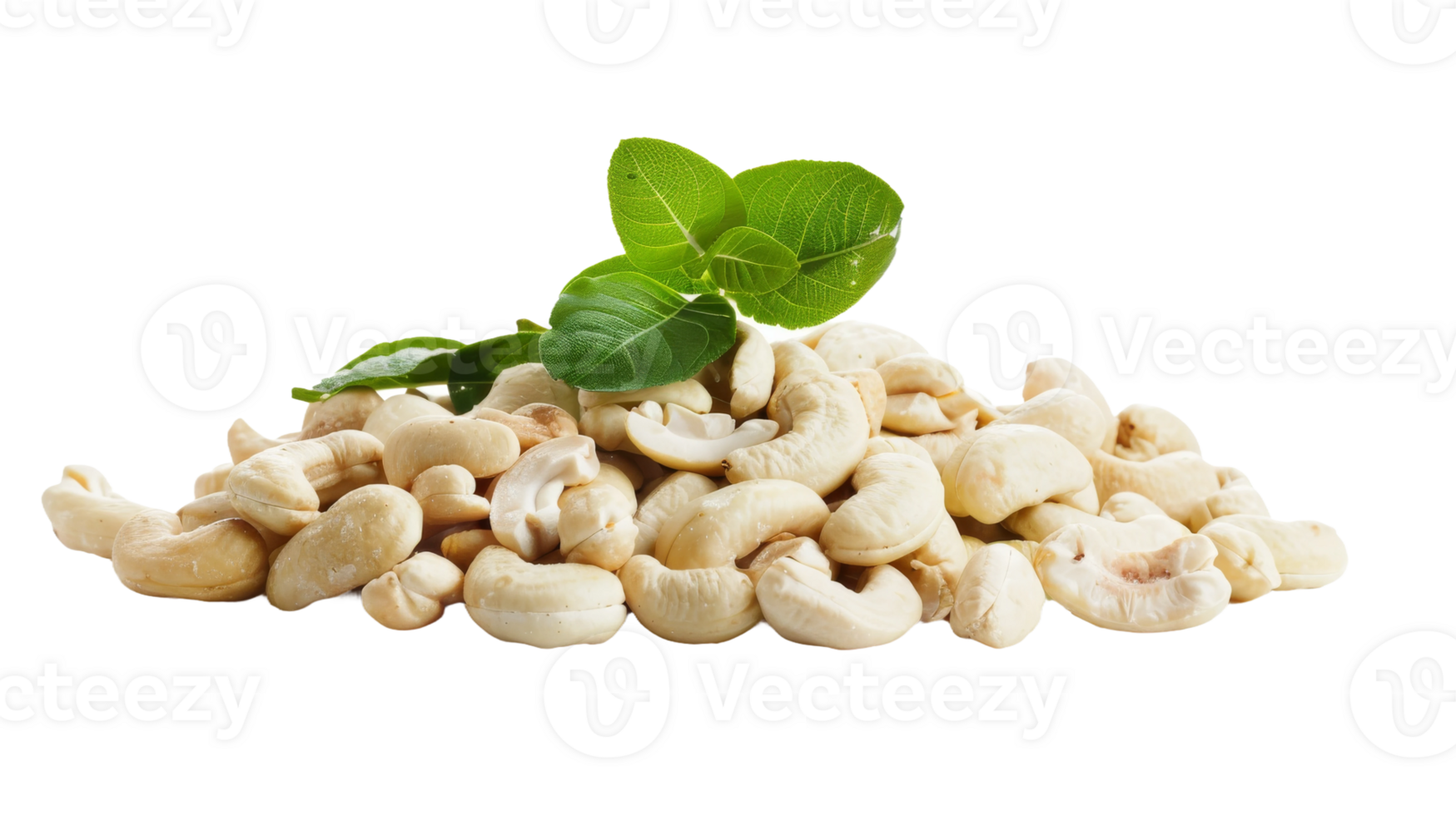 Cashew Portrait isolated on the transparent background, Format png