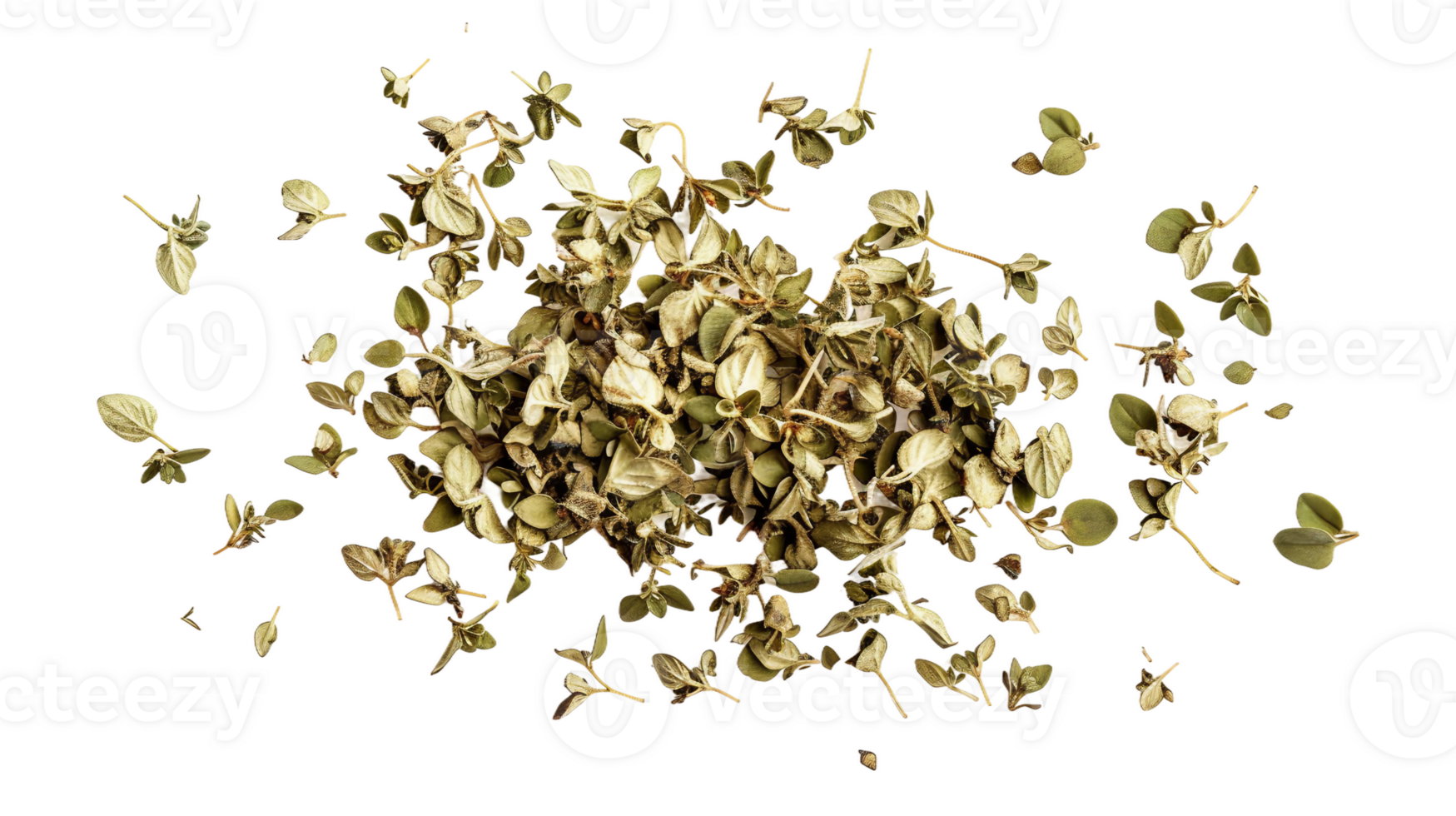 Isolated Oregano on Transparent Background png