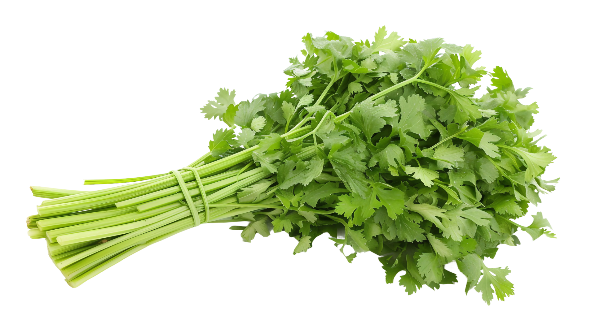 Celery in Isolation on Transparent Background 43344407 PNG