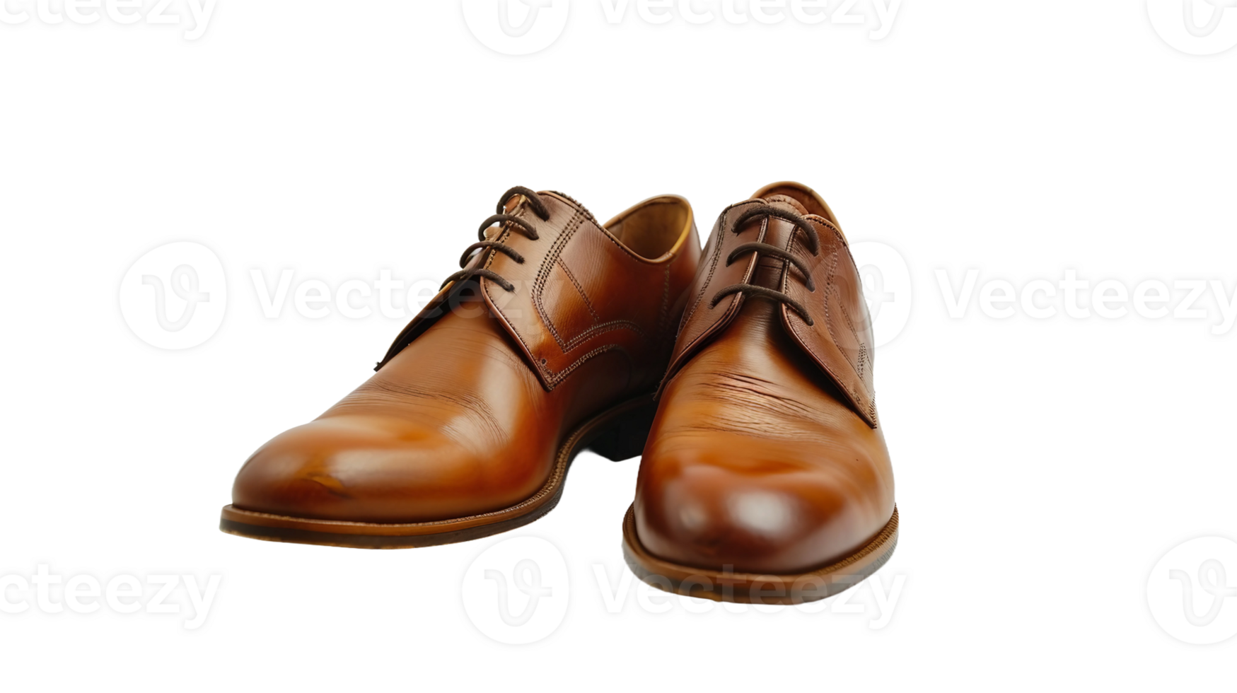 Stylish Men's Shoes on Transparent Background png