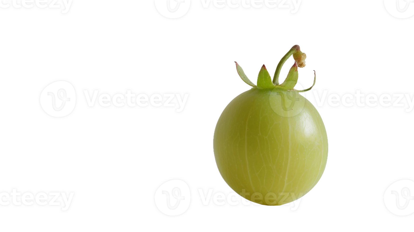Solo Gooseberry on Transparent Background png