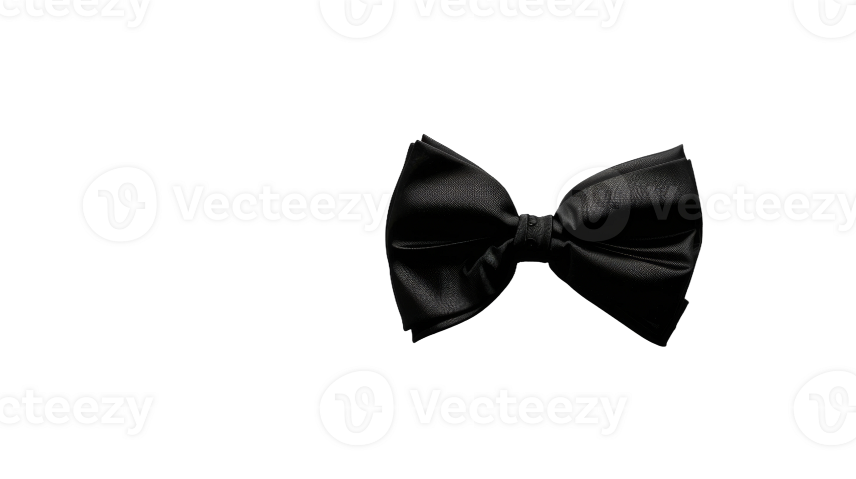 Black Bow's Allure isolated on the transparent background, Format png