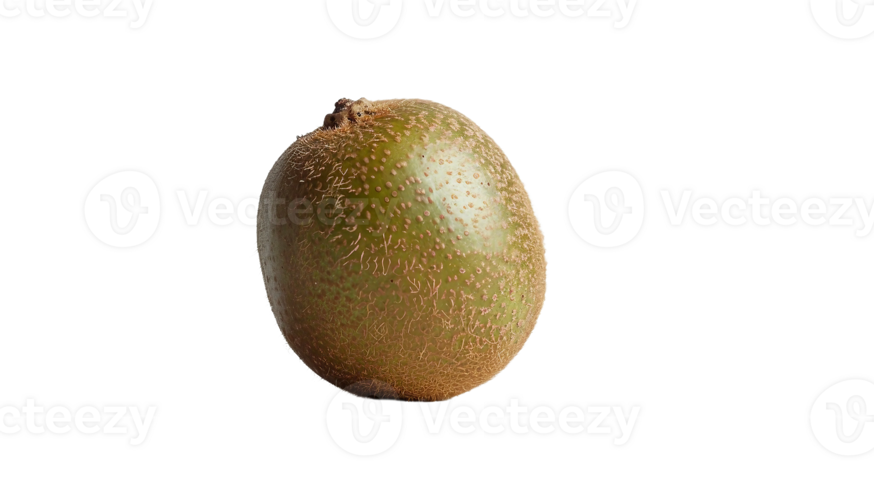 Kiwi Delight on Transparent Background png