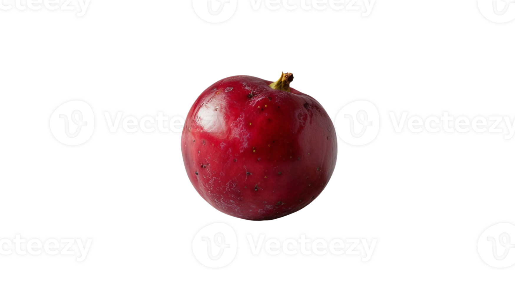 Capturing Cranberry on Transparent Background png