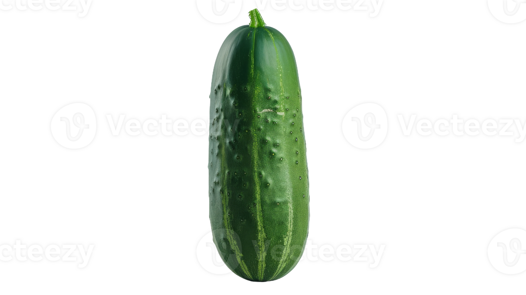 Capturing Cucumber, on transparent background, format png