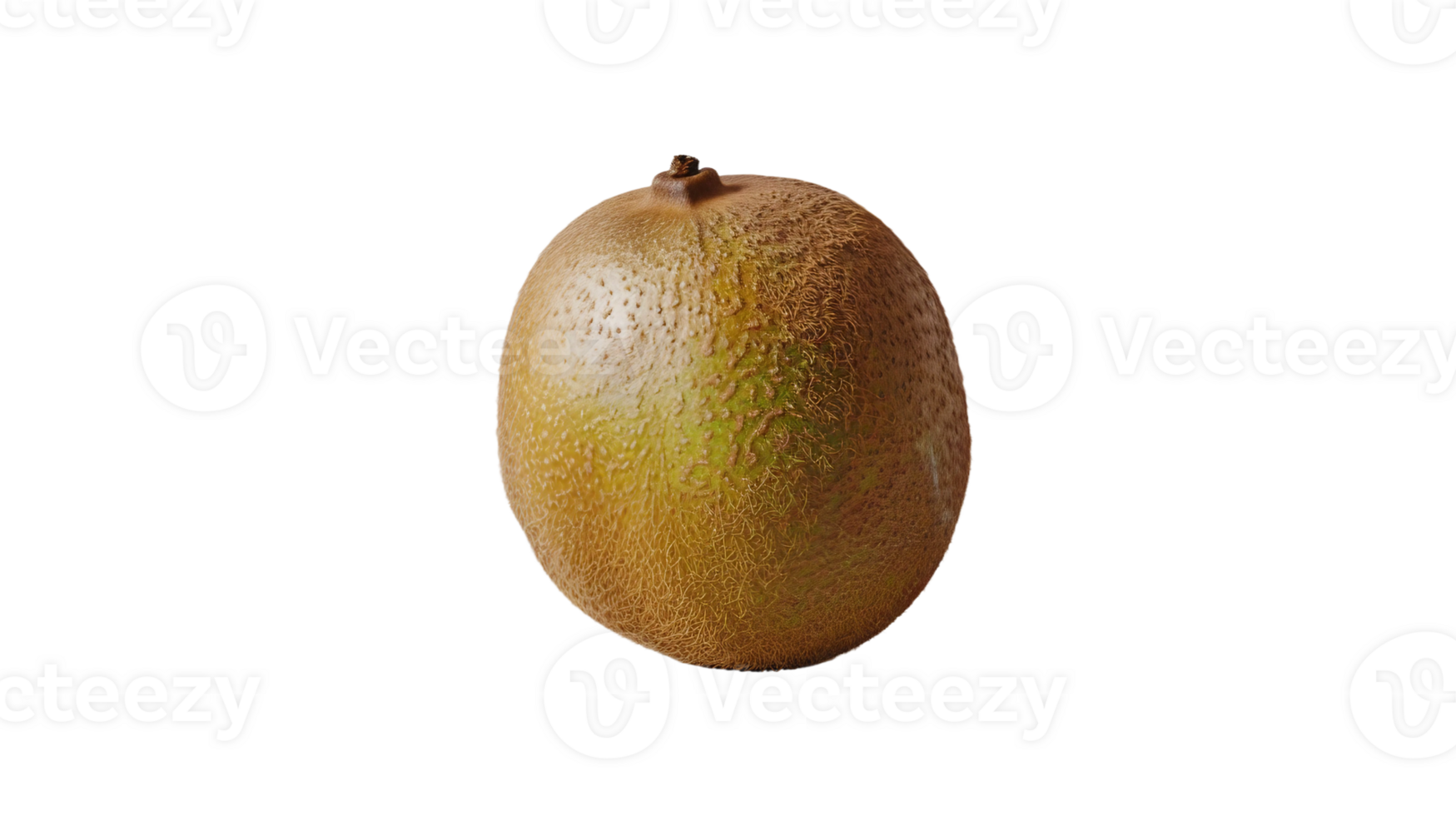 Singular Kiwi on Transparent Background png
