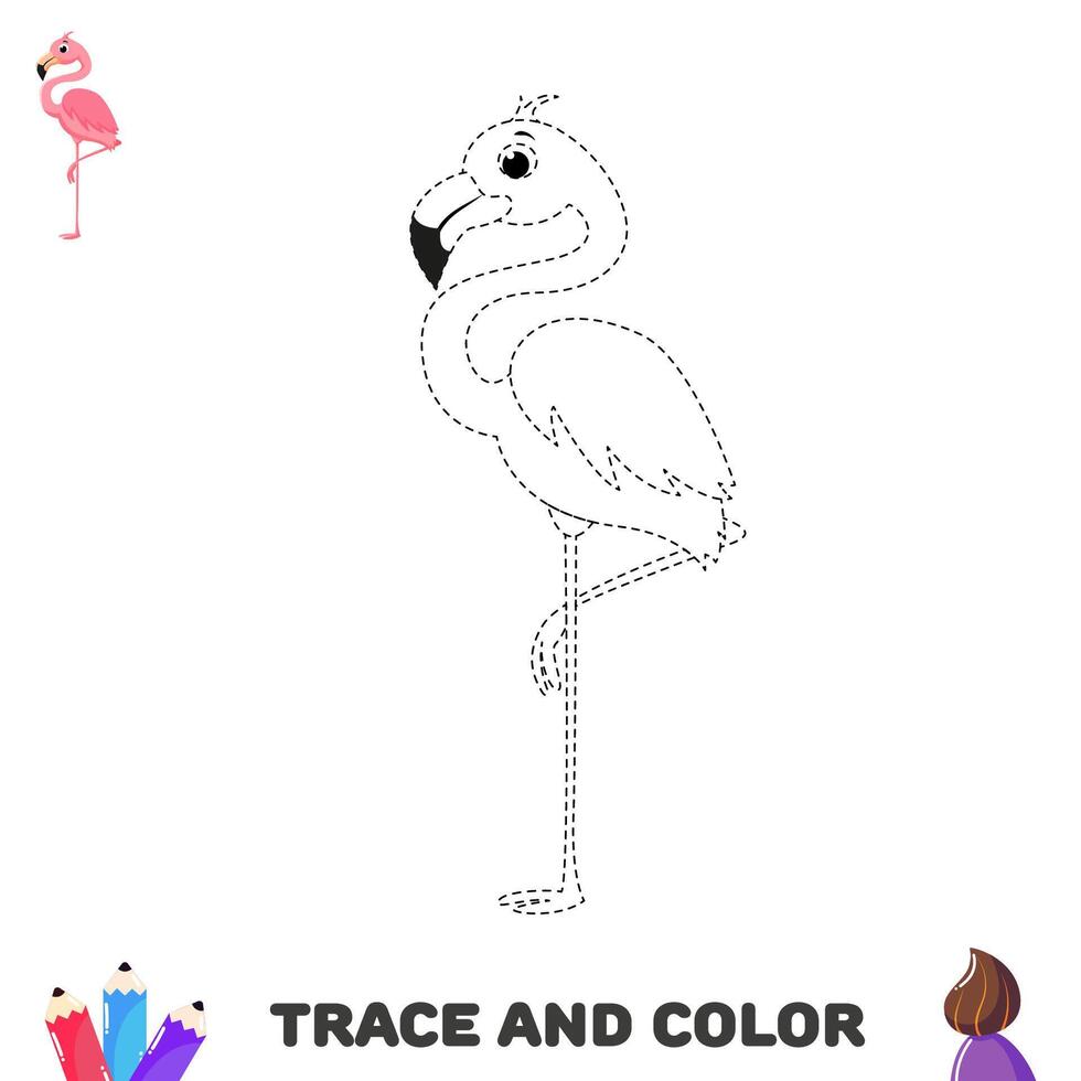 Activity worksheet for kids. Trace and color flamingo. Handwriting practice page vector