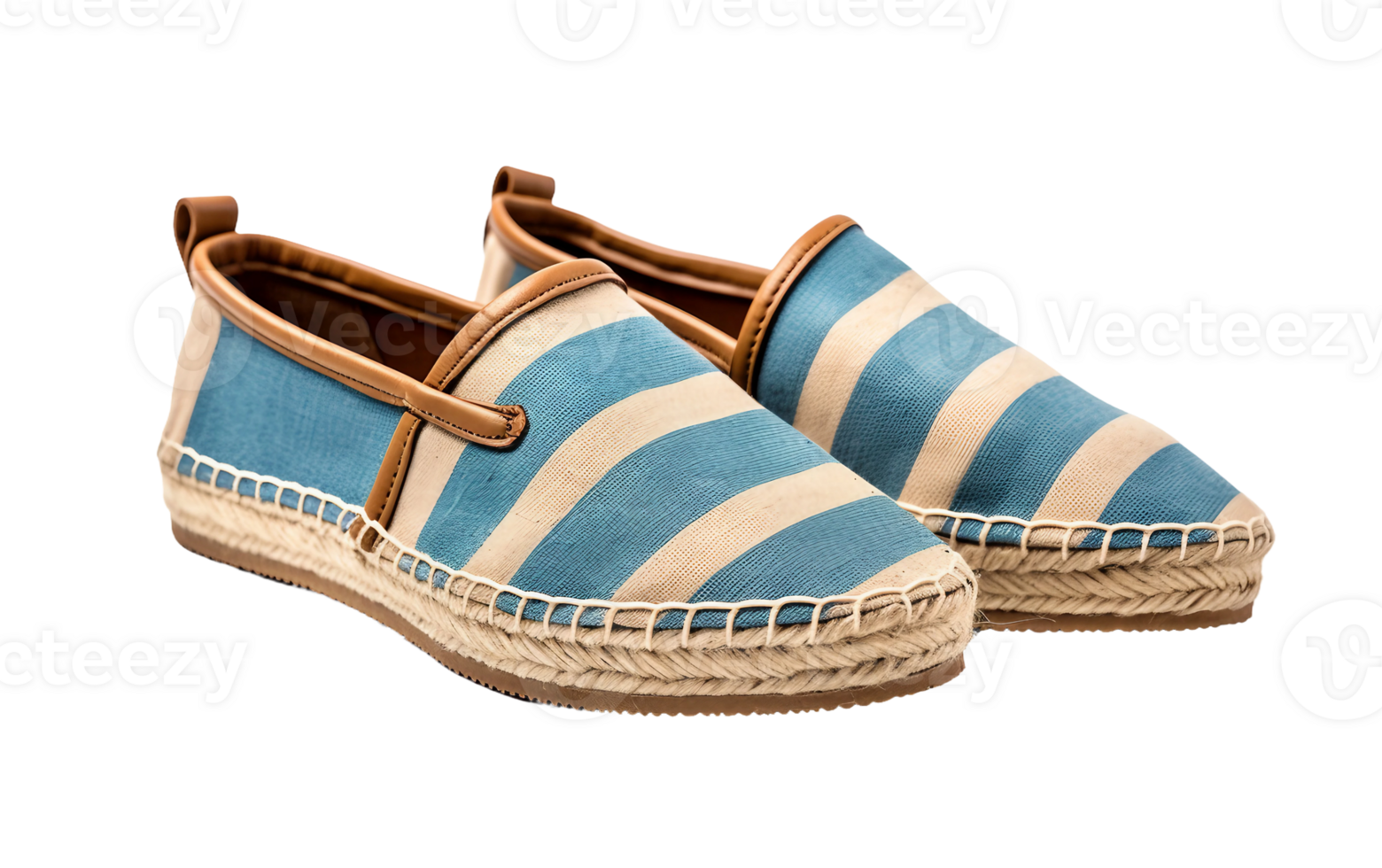 Men's Espadrilles for Every Occasion On Transparent Background png