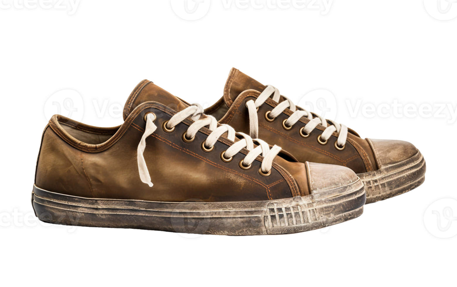 Casual Canvas Sneakers for Men On Transparent Background png