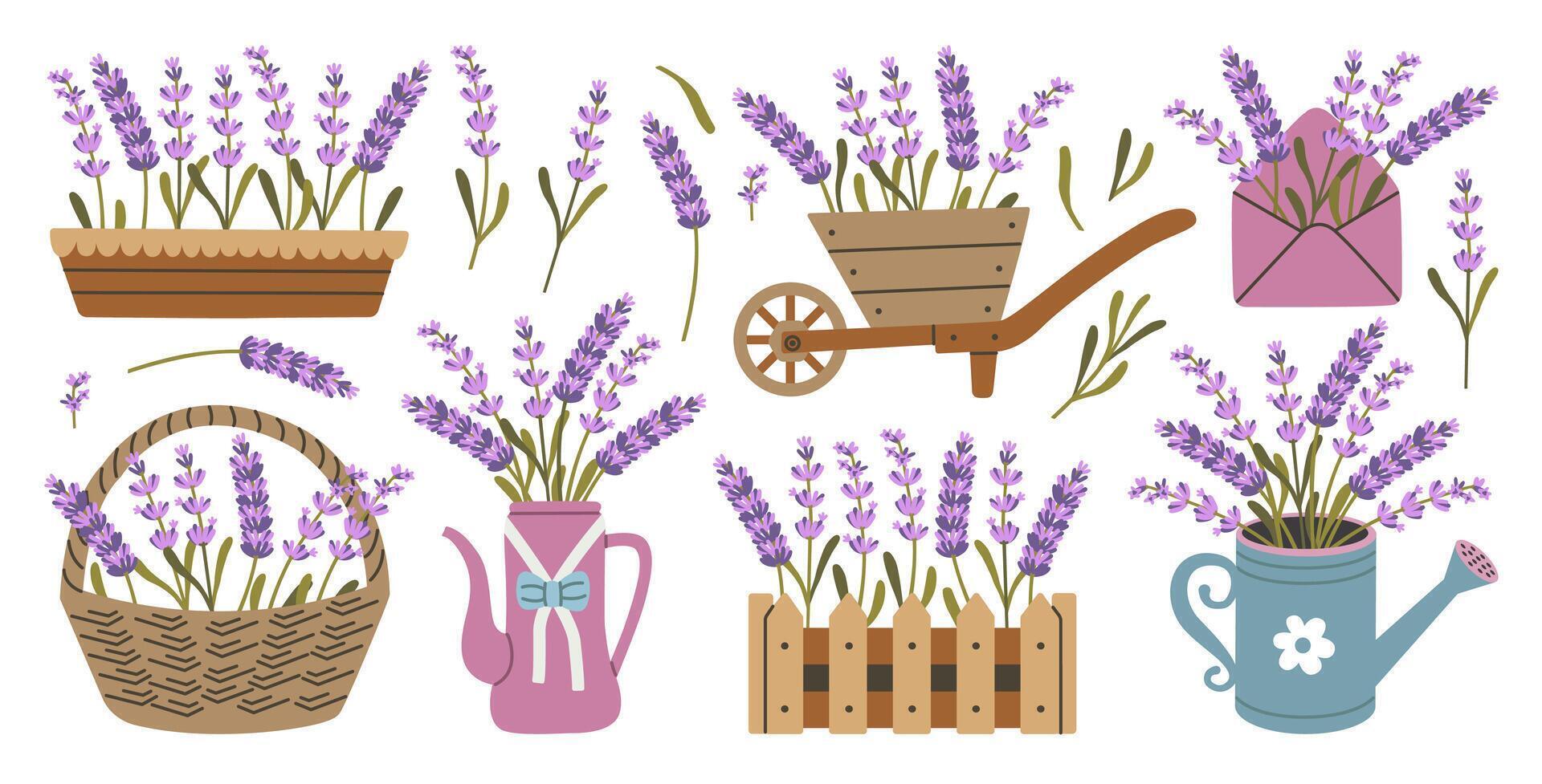 Lavender flowers, herb, bunch, bouquet. Isolated set in cute Provence style, basket, box, cart, watering can. vector