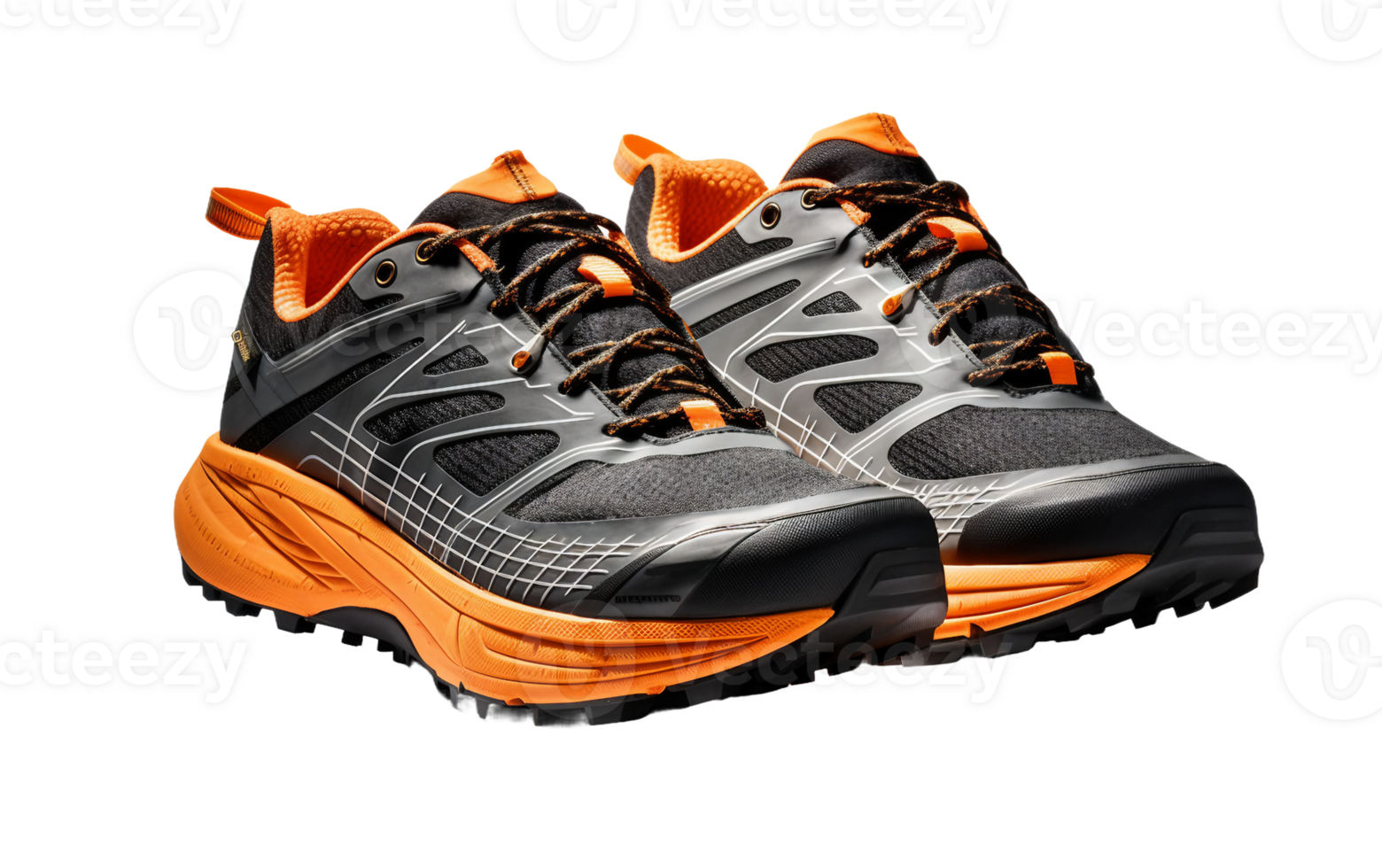 Advanced Features in Trail Running Footwear On Transparent Background png