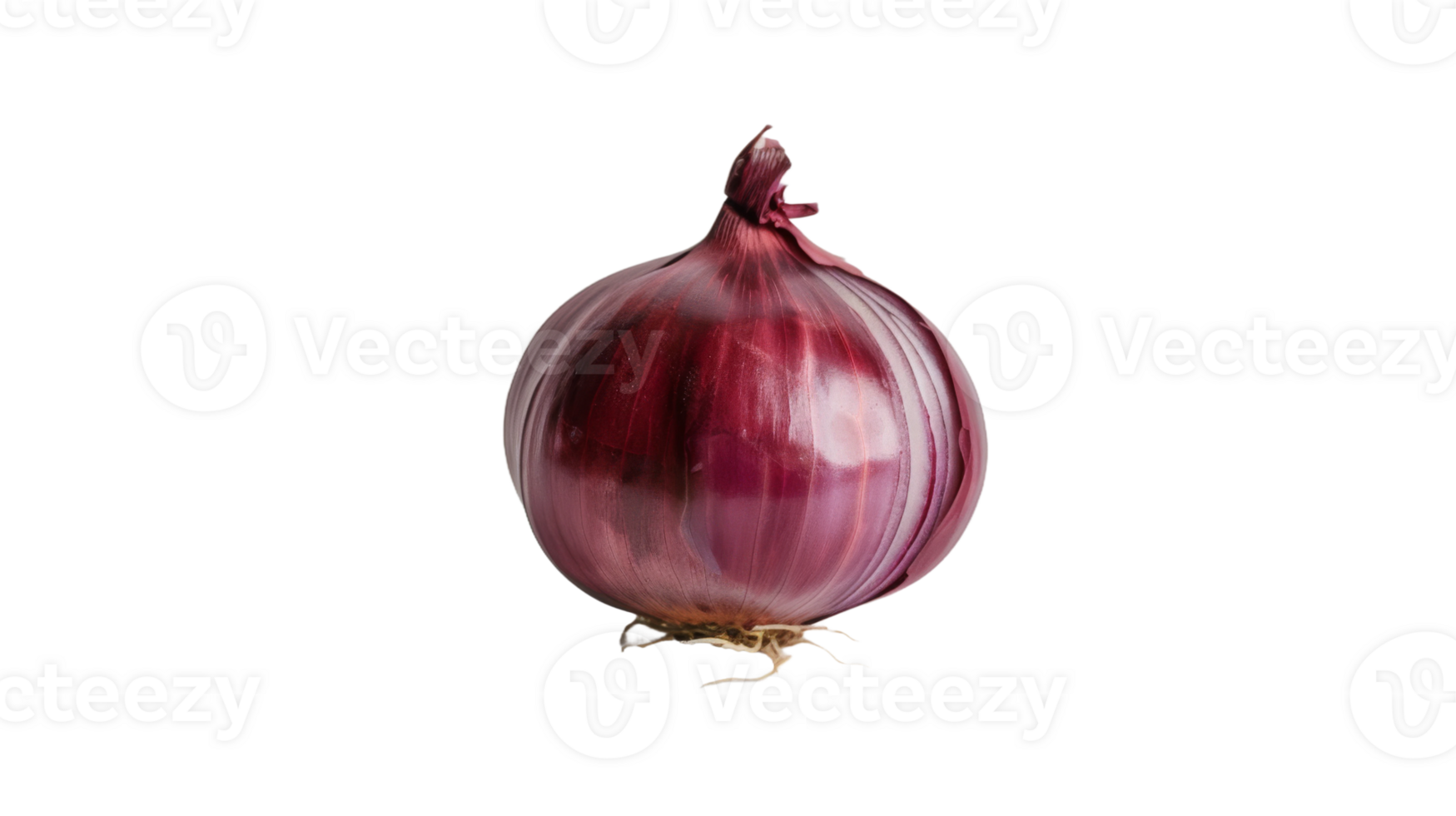 Fresh onion bulb, on transparent background, format png