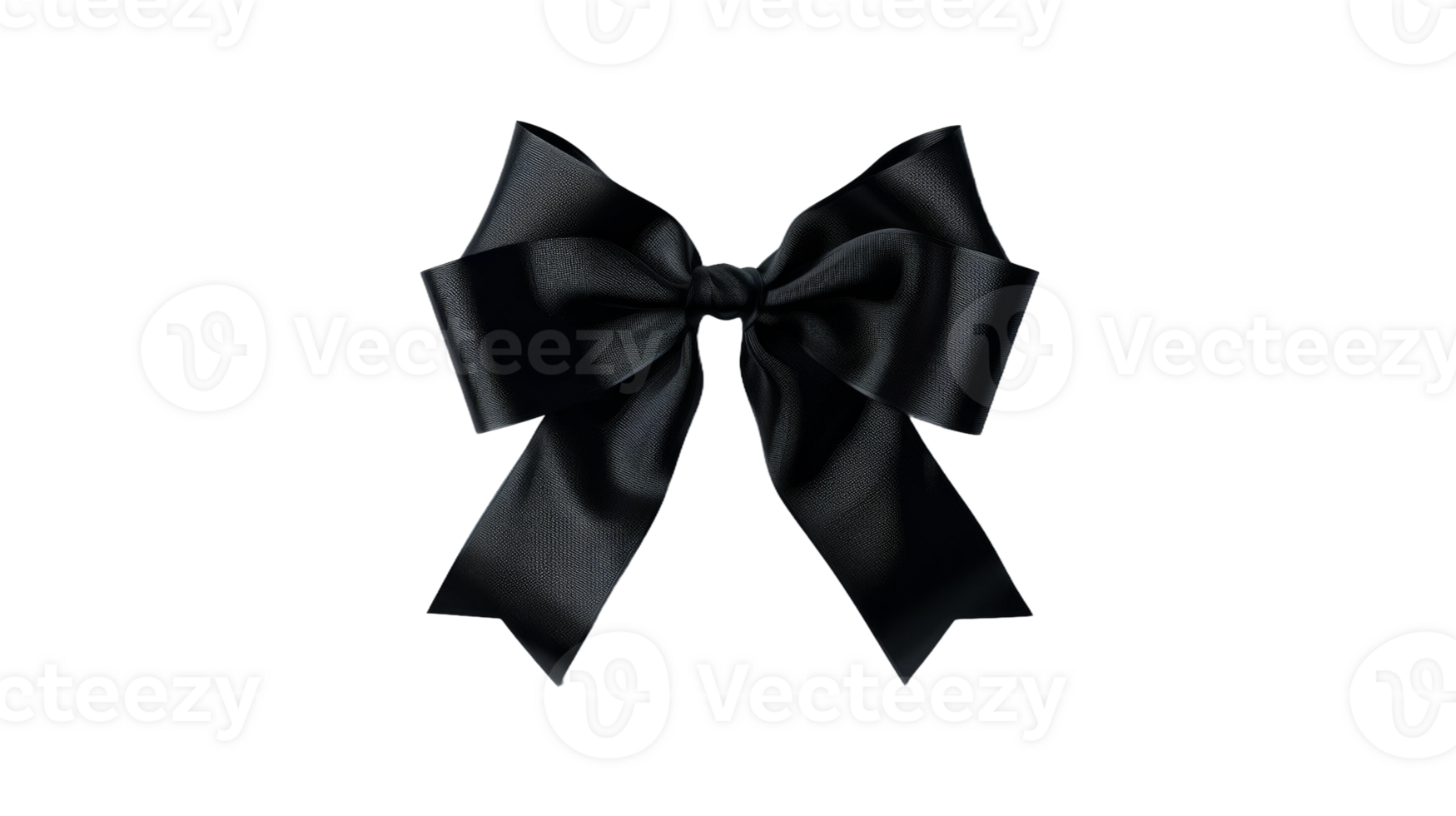 Essence of a Black Bow, on transparent background, format png