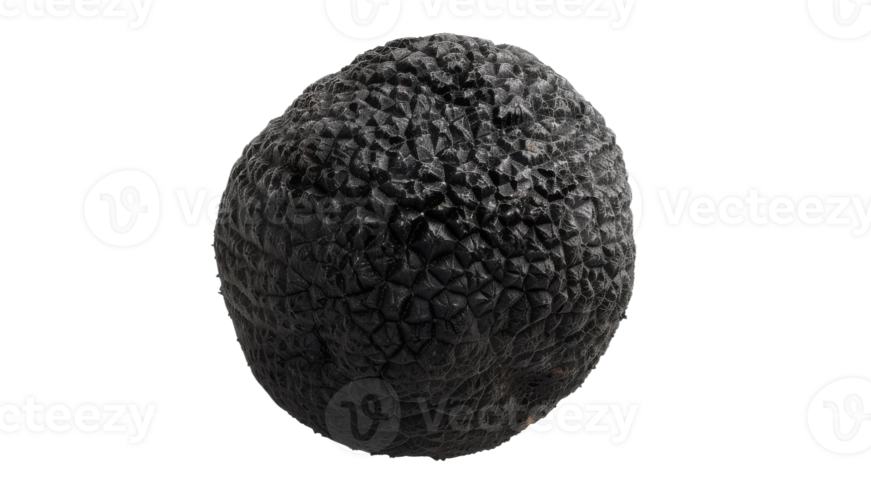 Winter Truffle in Black, on transparent background, format png