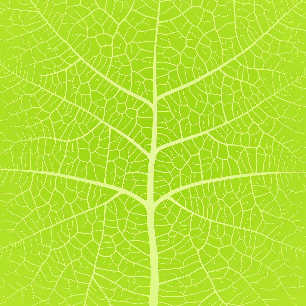 Leaf vein texture abstract background with close up plant leaf cells ornament texture pattern. vector