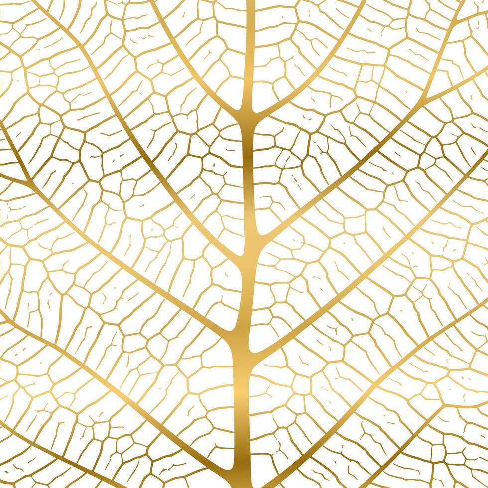 Leaf vein texture abstract background with close up plant leaf cells ornament texture pattern. vector