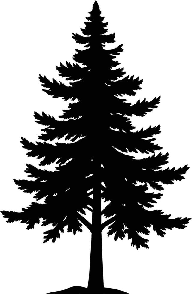 A black and white silhouette of a pine tree vector