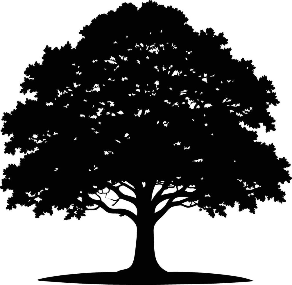 Oak tree silhouette black on white background vector