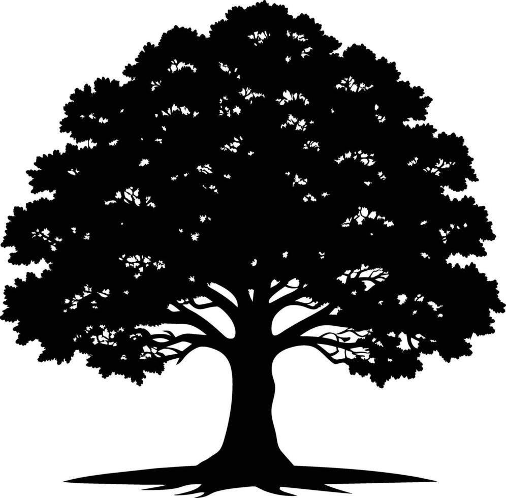 Oak tree silhouette black on white background vector