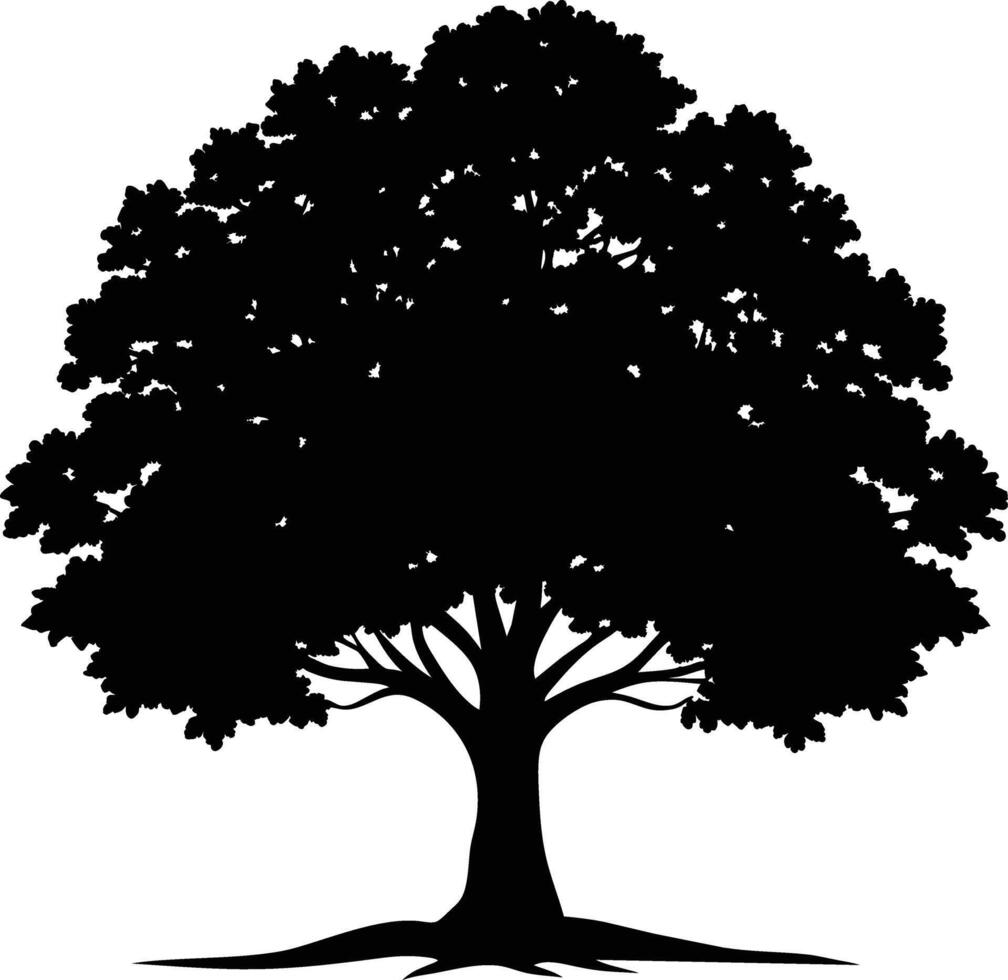 Oak tree silhouette black on white background vector